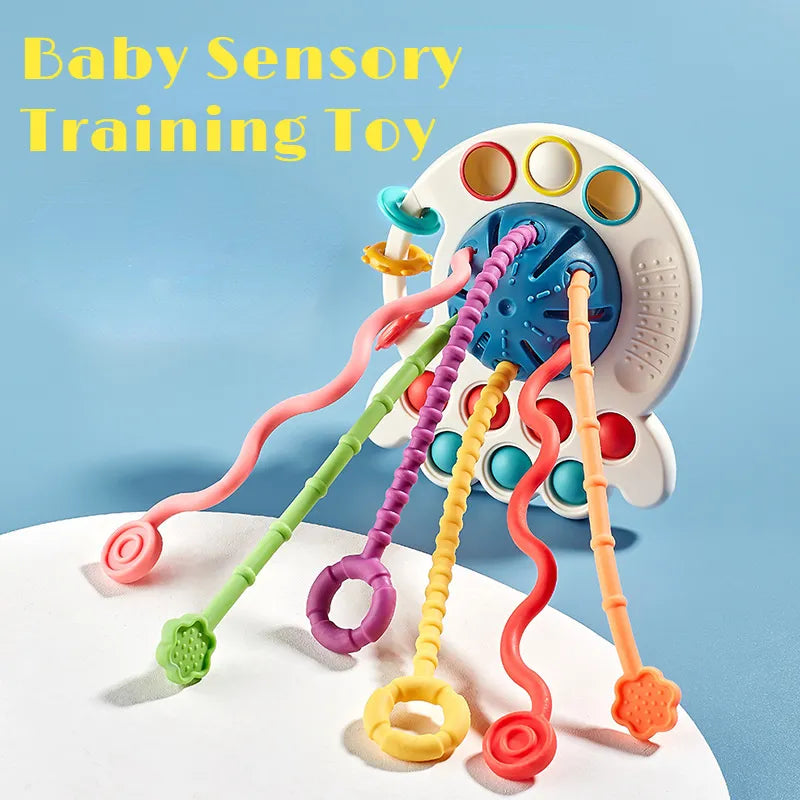 Early Learning Sensory Toy